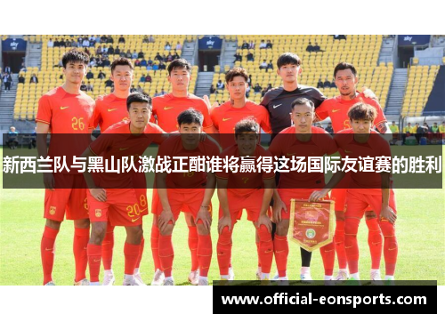 新西兰队与黑山队激战正酣谁将赢得这场国际友谊赛的胜利
